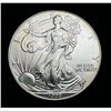 Image 1 : 1999 American Silver Eagle