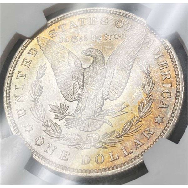 Monster Color 1896 Morgan Silver Dollar NGC MS64