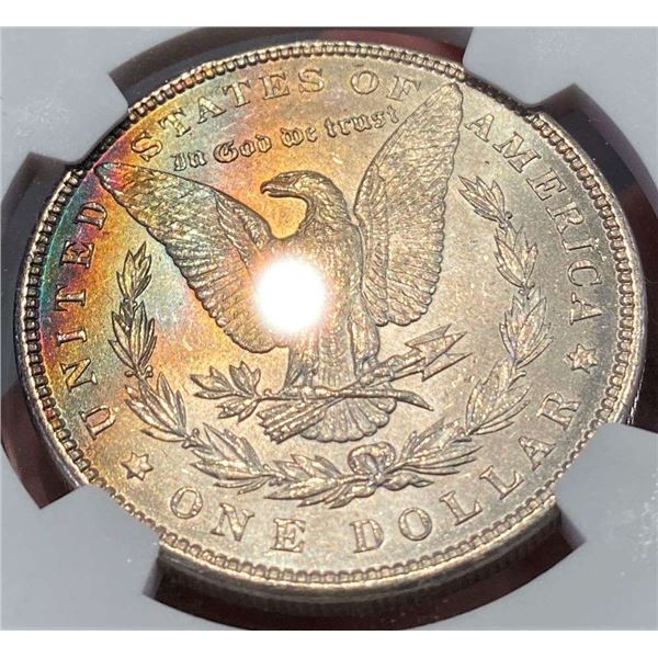 Monster Color 1896 Morgan Silver Dollar NGC MS64