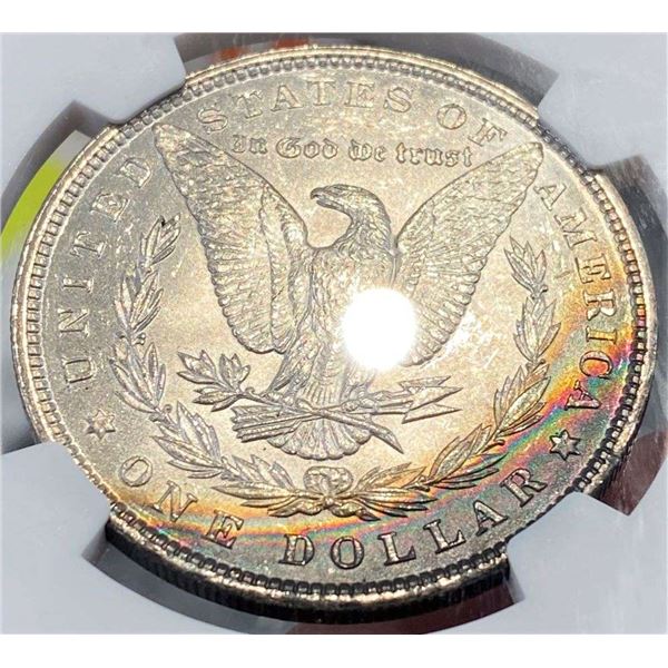 Monster Color 1896 Morgan Silver Dollar NGC MS64