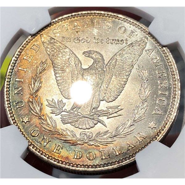 Monster Color 1896 Morgan Silver Dollar NGC MS64