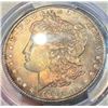 Image 1 : Monster Color 1891 Morgan Silver Dollar PCGS MS64