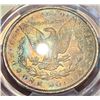 Image 2 : Monster Color 1891 Morgan Silver Dollar PCGS MS64