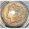 Image 3 : Monster Color 1891 Morgan Silver Dollar PCGS MS64