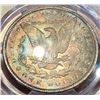 Image 4 : Monster Color 1891 Morgan Silver Dollar PCGS MS64