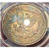 Image 6 : Monster Color 1891 Morgan Silver Dollar PCGS MS64