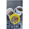 Image 1 : 4 BUCKETS OF SNATCHBLOCK, HOOKS AND HARDWARE