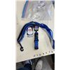 Image 2 : NEW KONG 4FT DOG LEASH AND COLLAR