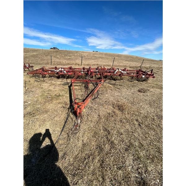 White HD Cult. (as is)