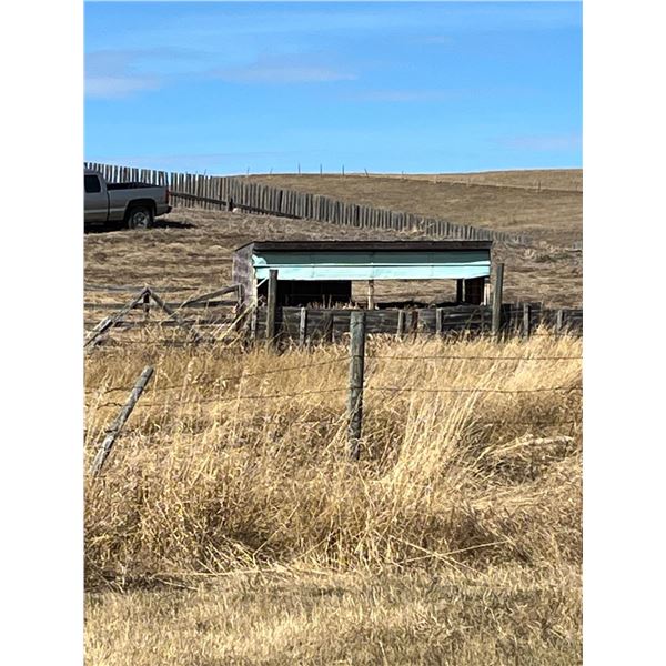 Calf Shelter