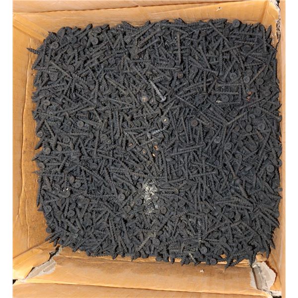 BOX OF #6 x 1-1/4" DRYWALL SCREWS (60-80% FULL)