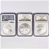 Image 1 : 2004 Set (3) American Silver Eagles NGC MS69