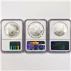 Image 2 : 2004 Set (3) American Silver Eagles NGC MS69