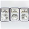 Image 1 : 2003 Set (3) American Silver Eagles NGC MS69