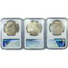 Image 2 : 1974 Set (3) Eisenhower Silver Dollars NGC MS65