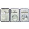 Image 1 : 2004 Set (3) American Silver Eagles NGC MS69