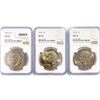 Image 1 : 1974 Set (3) Eisenhower Silver Dollars NGC MS65