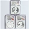 Image 1 : 2021 Set (3) A.S.E. Castle Signed NGC PF, MS