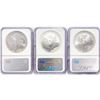 Image 2 : 2004 Set (3) American Silver Eagles NGC MS69