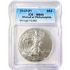 2015-(P) American Silver Eagle ICG MS69