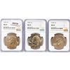 Image 1 : 1974 Set (3) Eisenhower Silver Dollars NGC MS65