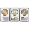 Image 2 : 1922-1924 Set (3) Silver Peace Dollar NGC MS63