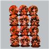 Image 1 : Natural Burma Orange Spinel 12 Pcs {Flawless-VVS1}