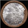 Image 2 : ***Auction Highlight*** 1881 & CC Uncirculated Morgan Dollar Shotgun Roll (fc)