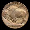 Image 3 : 1913-p TY I Buffalo Nickel 5c Grades Select Unc