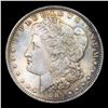 Image 2 : ***Auction Highlight*** 1885-o Morgan Dollar $1 Graded ms66+ By SEGS (fc)