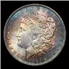 Image 2 : 1884-o Morgan Dollar $1 Grades Select+ Unc