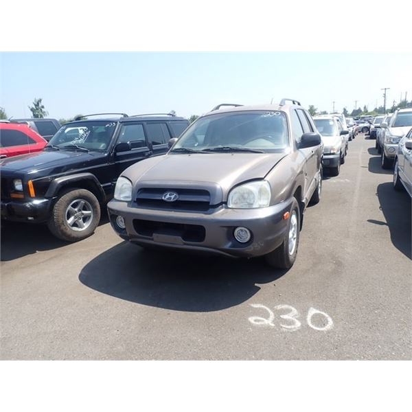 2006 Hyundai Santa Fe Speeds Auto Auctions
