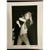 Image 1 : Led Zeppelin's Robert Plant by Robert M. Knight
