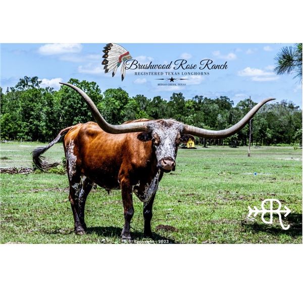 BWD Texas Royalty