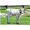 Image 1 : BWD Bedias Double Rose