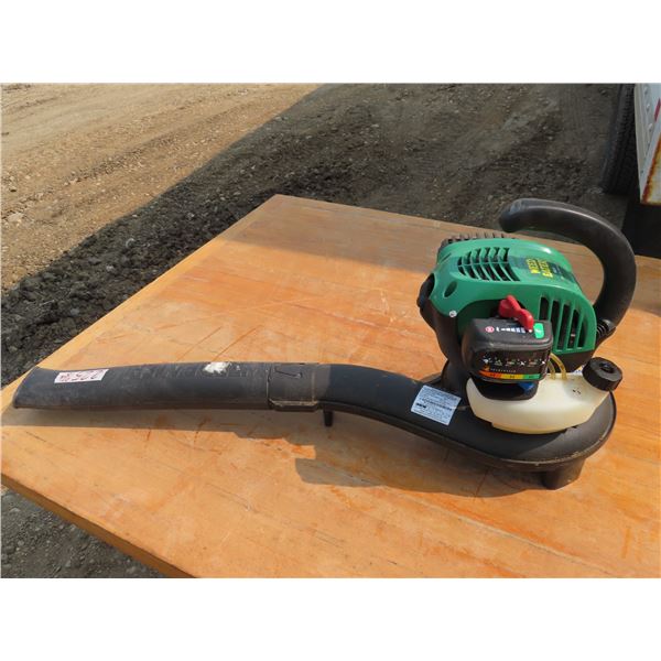 Weed-Eater, 25cc gas blower - Schmalz Auctions