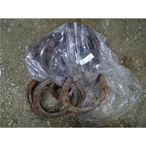 25 horseshoes