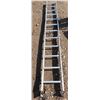 Image 1 : 12ft ladder