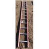 Image 1 : 12ft ladder