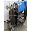 Image 3 : TIG 205DS 110/220V Yeswelder and Wheeled stand