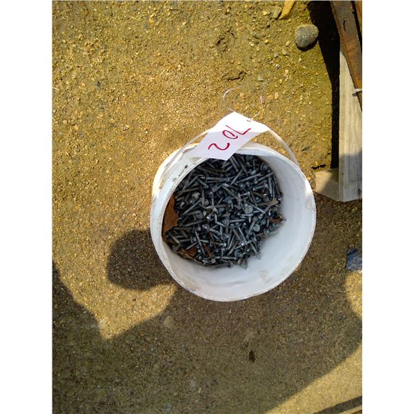 Partial Bucket of metal screws