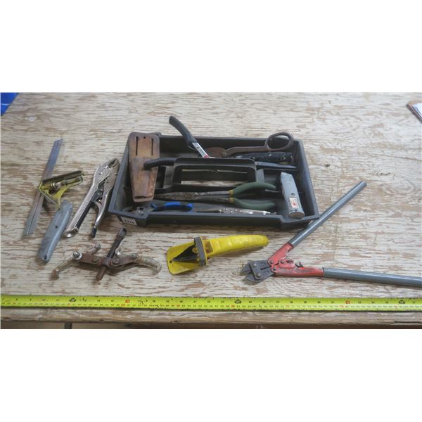 tool tray with assorted tools