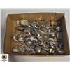 Image 1 : COLLECTIBLE SPOONS