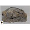 Image 1 : GENUINE VINTAGE FUR HAT (L)