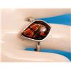Image 1 : NATURAL RED FIRE FREE SIZE AMMOLITE
