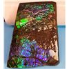 Image 1 : HUGE 589.5 CT NATURAL AMMOLITE