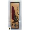Image 1 : ORNATE FEATHER PEN WITH TIPS