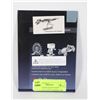 Image 1 : NEW TYRANNOSAURUS REX SKELETON 3D METAL MODEL KIT