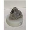 Image 2 : QUARTZ WITH BLACK TOURMALINE MATRIX ON STAND RETAIL $1,400