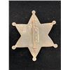 Image 2 : MONO CO. DEPUTY SHERIFF BADGE